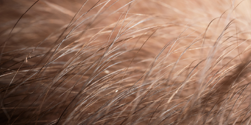 ショックロスが起きる原因