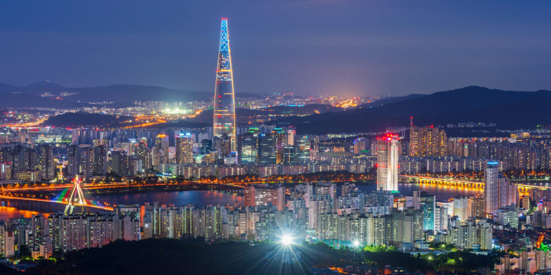 各国植毛市場の特徴まとめ