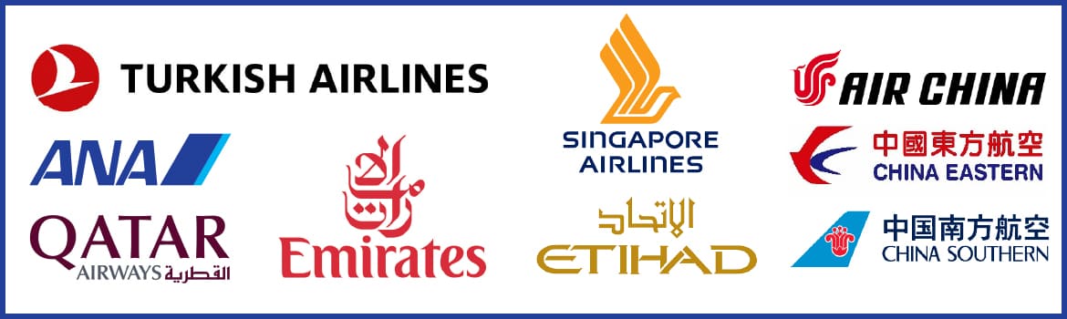 日本からトルコへ運航している航空会社